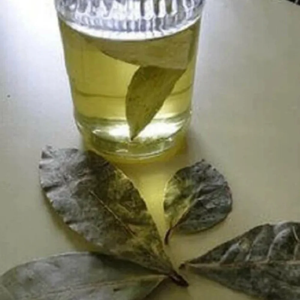 Συμβουλές Αντιγήρανσης